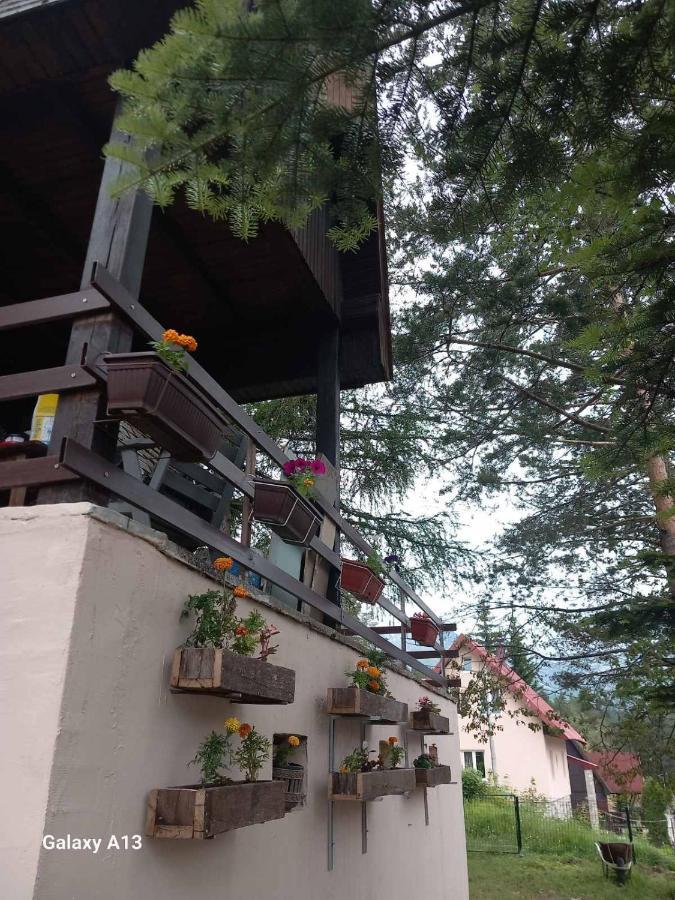 Vikendica Malovic Villa Zabljak  Luaran gambar